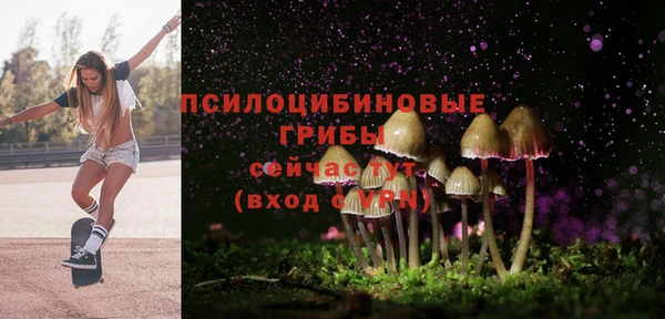 трава Алзамай