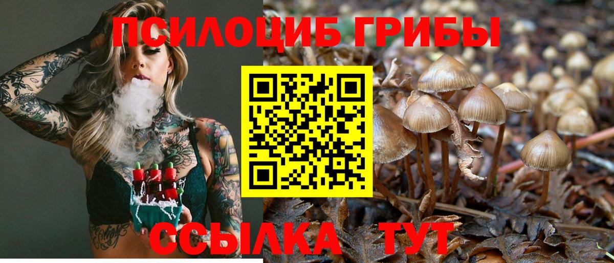 Галлюциногенные грибы ЛСД Лесосибирск