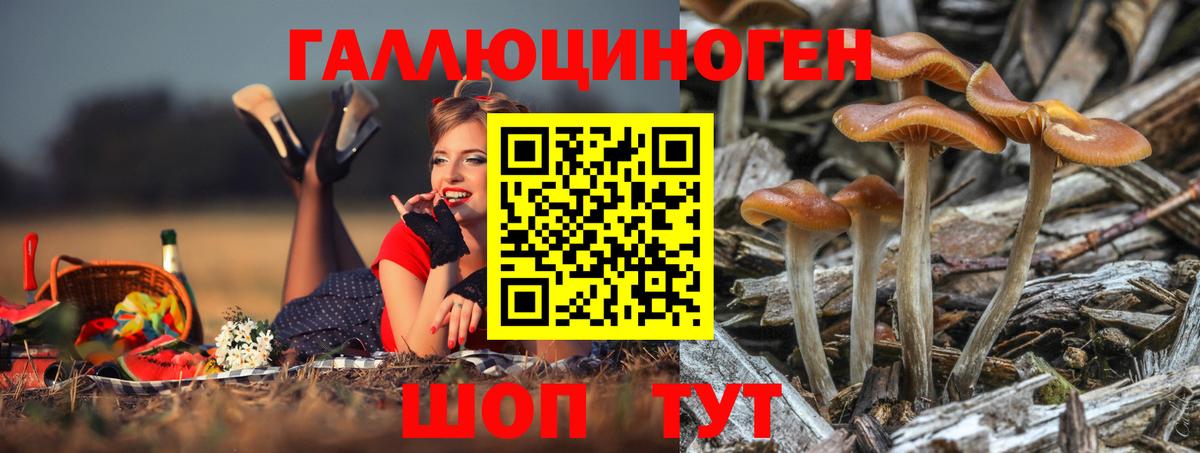 Лесосибирск  Галлюциногенные грибы ЛСД  хочу наркоту  Вход с VPN 